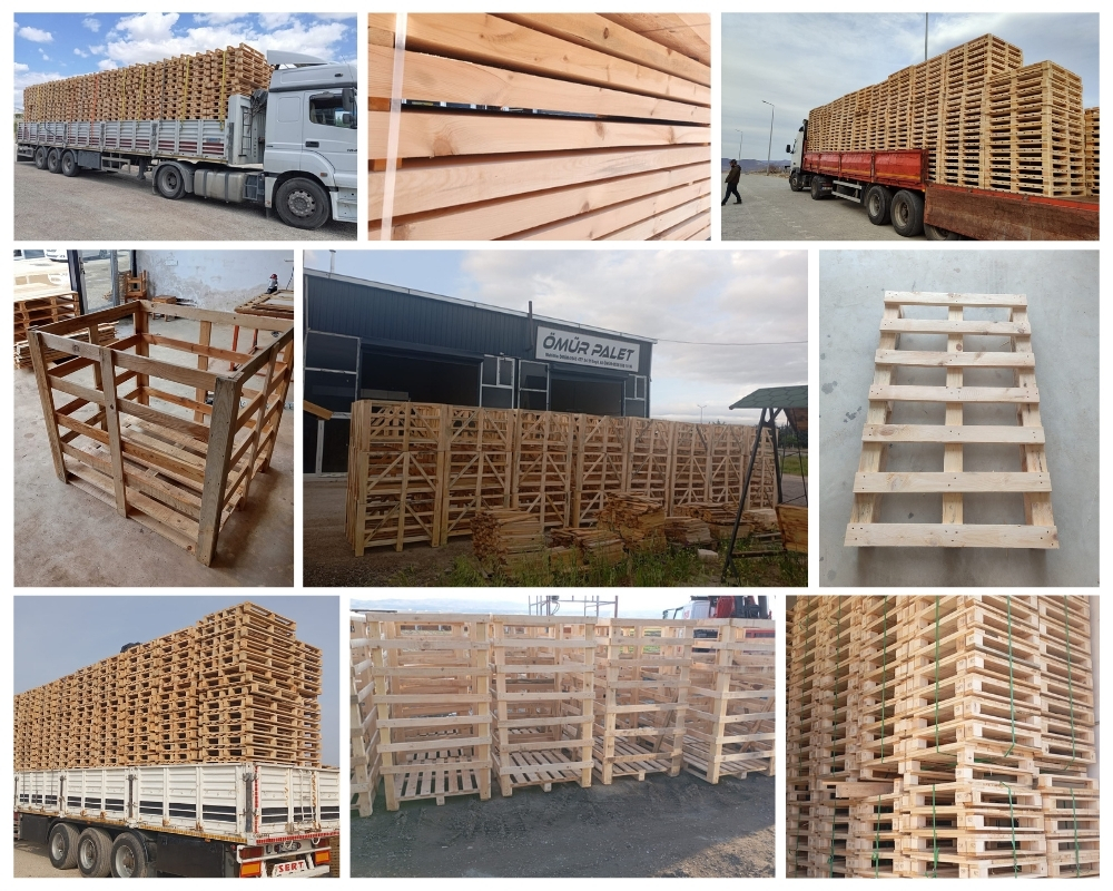 Magny-le-Hongre Palette Europe, Acheter des palettes en gros